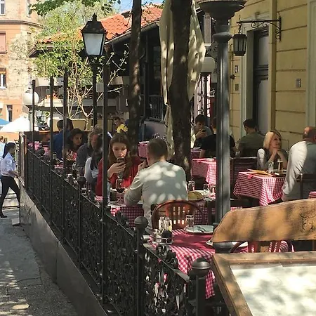 Optimist No.1 Belgrade